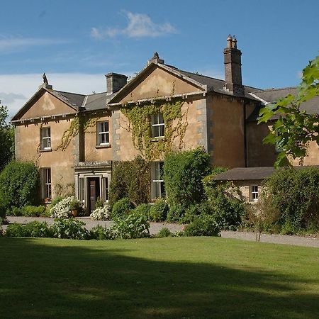 Kilgraney House Guest House Bagenalstown Eksteriør bilde