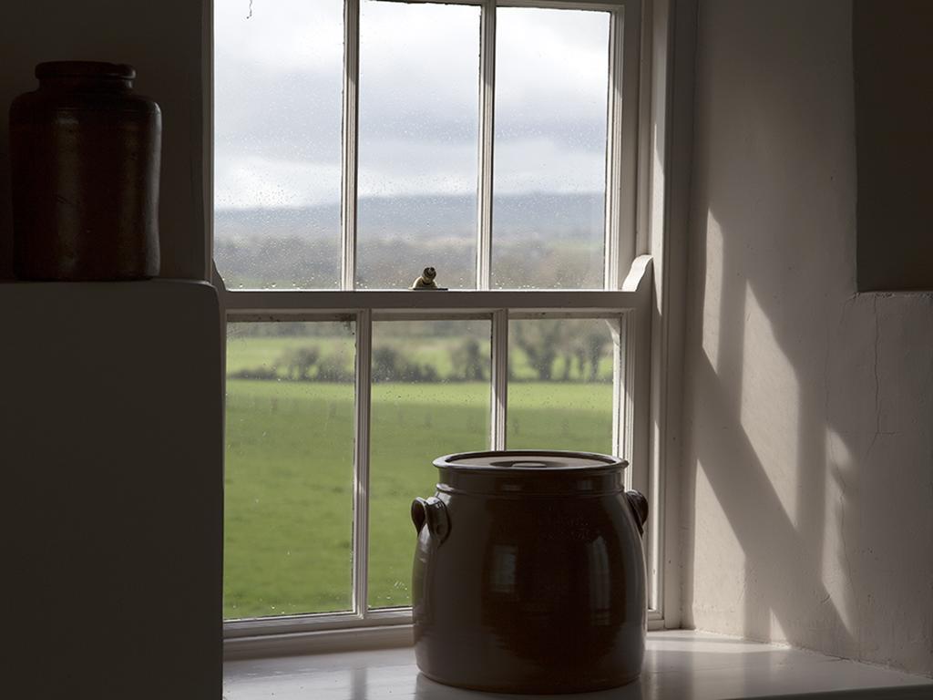 Kilgraney House Guest House Bagenalstown Eksteriør bilde